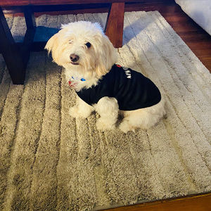 Meet your Posher, Claudia